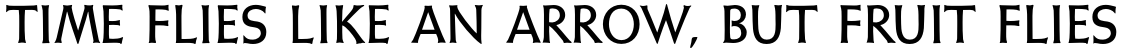 Wellsbrook Initials SG Bold OT STD