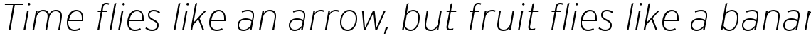 Interstate Extra Light Italic