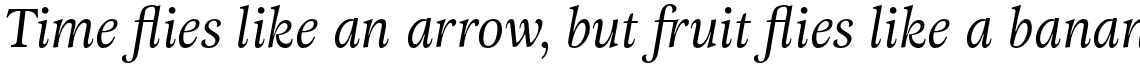 Adriane Text Italic