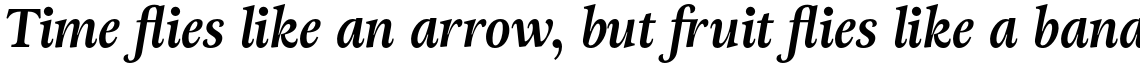 Adriane Text Bold Italic