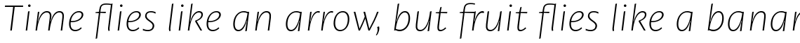 Petala Pro Thin Italic