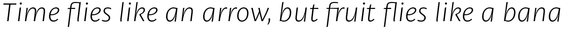 Petala Pro Light Italic