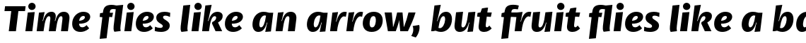 Petala Pro Bold Italic