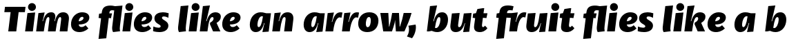Petala Pro Extra Bold Italic