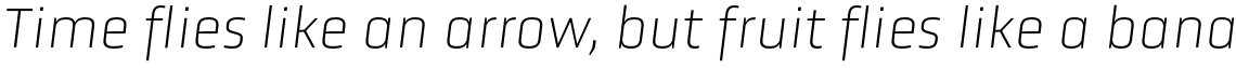 Obvia Thin Italic