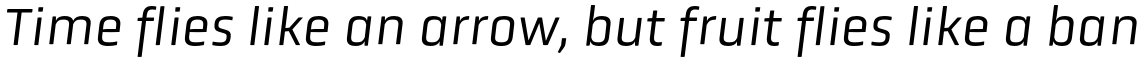 Obvia Book Italic