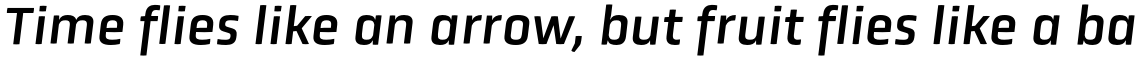 Obvia Italic