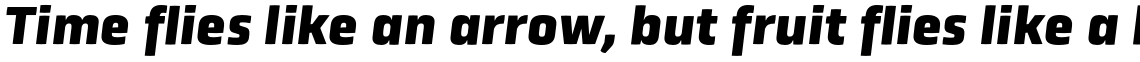 Obvia Black Italic