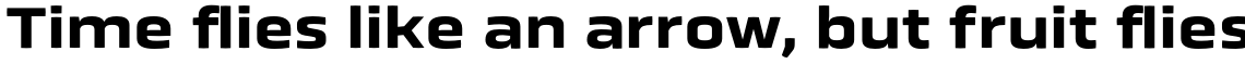 Obvia Expanded Bold