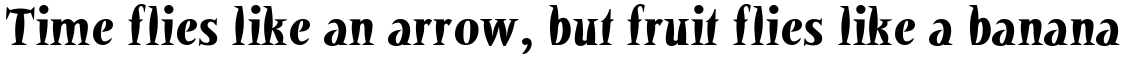 Barracuda Bold