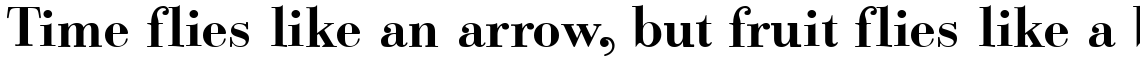 Bodoni Classic Text Bold