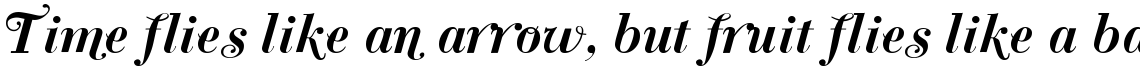 Bodoni Classic Bold Italic Swash