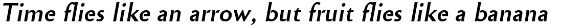 Cimiez Bold Italic