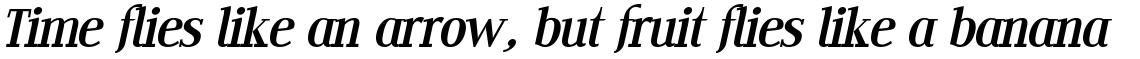 Edito D Italic