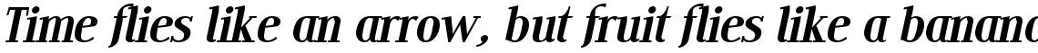 Edito E Italic