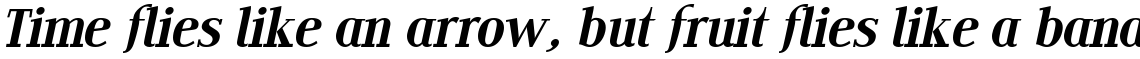 Edito F Italic