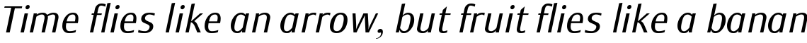 Monem Light Italic
