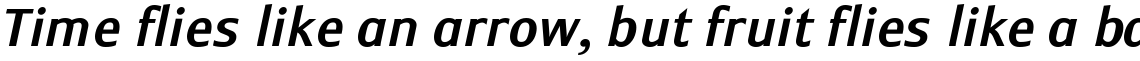 Monem Medium Italic