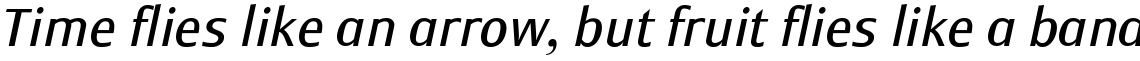 Monem Roman Italic