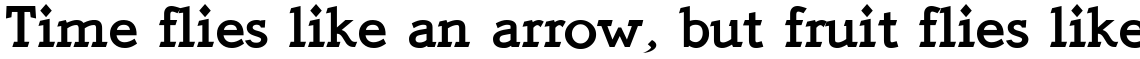 Quick Type Bold