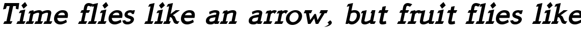 Quick Type Bold Italic