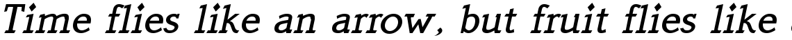 Quick Type Medium Italic