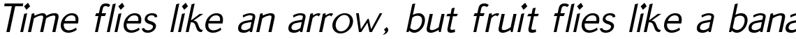 Quick Type Sans Italic
