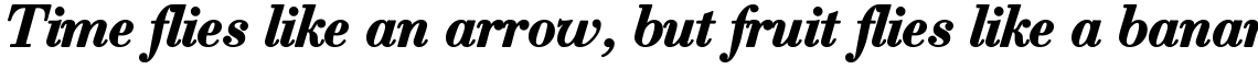 Robusta Bold Italic