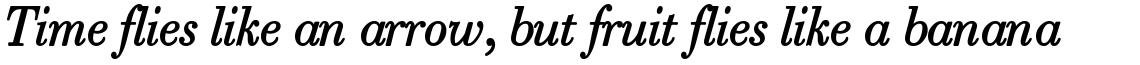 Robusta Roman Italic