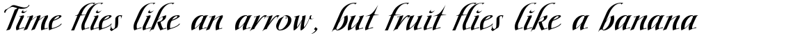 Scriptissimo Forte Middle