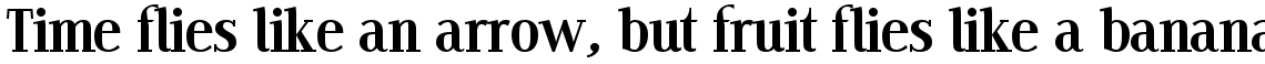 Edito E set (2 typefaces)