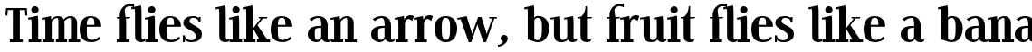 Edito F set (2 typefaces)