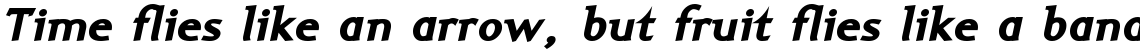 Ela-Demiserif Black Italic