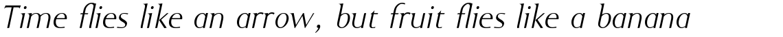 Ela-Demiserif ExtraLight Italic