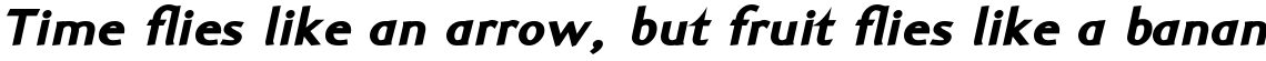 Ela-Sans Black Italic