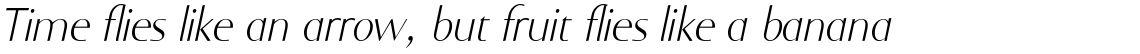 Ela-Swashes Extra Light Italic