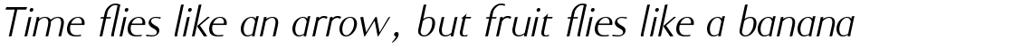 Ela-Swashes Light Italic