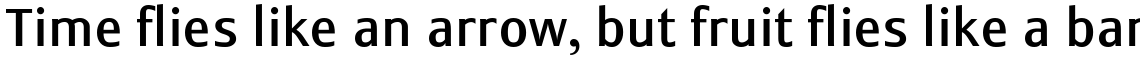 Monem Complete Set (15 Typefaces)