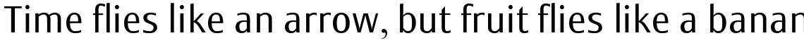 Monem Light Set (2 Typefaces)