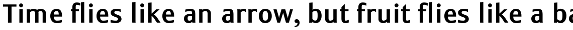 Monem Medium Set (2 Typefaces)