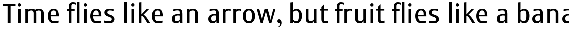 Monem Roman Set (2 Typefaces)