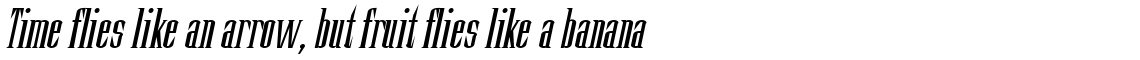 Slim Kim Bold Italic