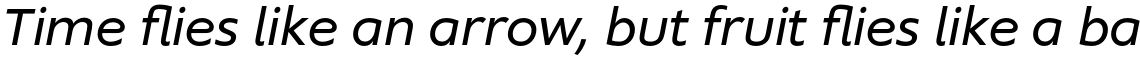 Supra Normal Italic