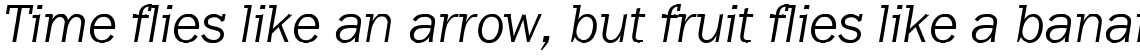 Franklin Gothic Raw Semi Serif Light Oblique