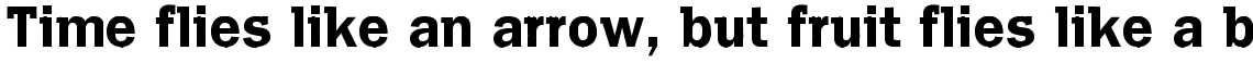 Franklin Gothic Raw Semi Serif Demi