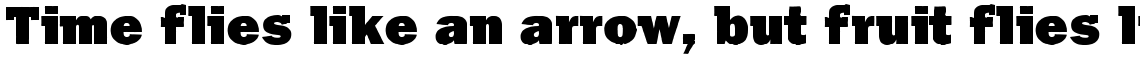 Franklin Gothic Raw Semi Serif Ultra