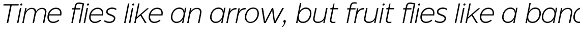 Dylan Thin Italic