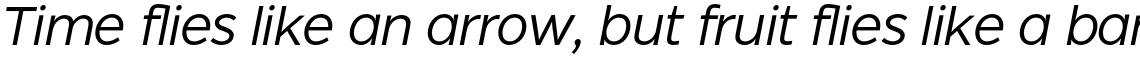 Dylan Light Italic
