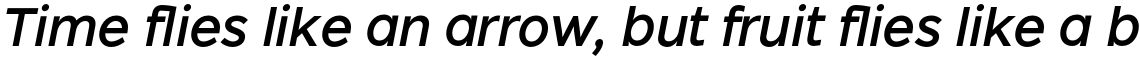 Dylan Medium Italic