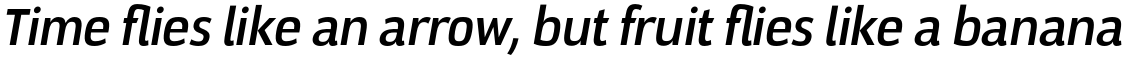 Docu Medium + Oblique